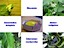Biologie & Schule