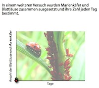 einstiegsfolie_b