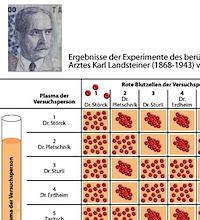 landsteiner preview