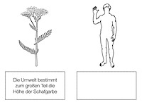 preview_fortfuehrung