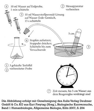 versuchsanleitung_c